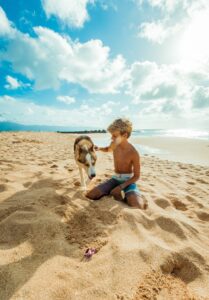 Pawpaw Pet Insurance