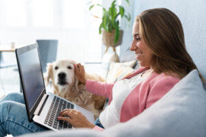 PET INSURANCE OPTIONS IN SA