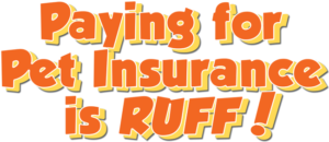 Paying for pet insurance can be ruff