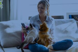 Pet Insurance South Africa